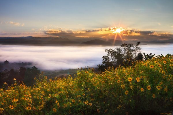 Пейзаж с красивым небом