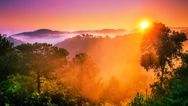 Светлое солнце