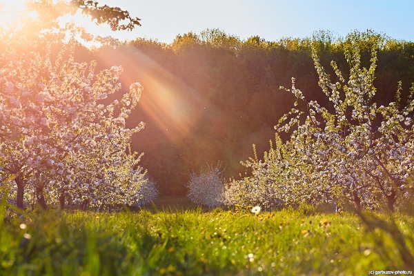 Солнце рассвет