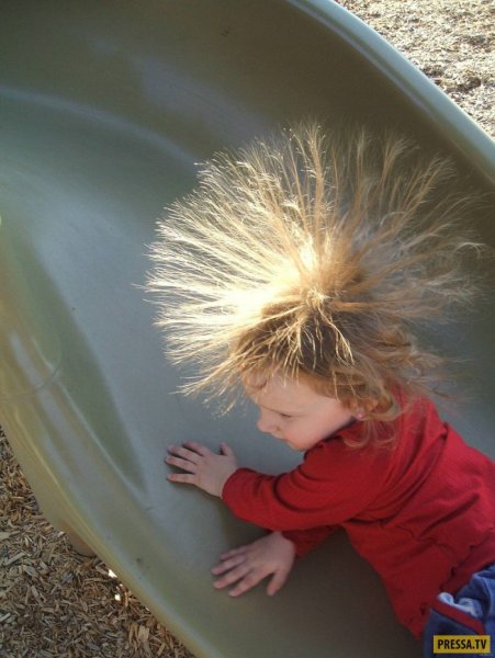 Раз Ромашка два Ромашка Медвежонок