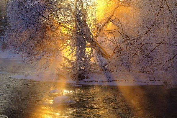 Луч солнца золотого