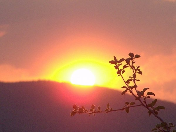 Луч солнца золотого