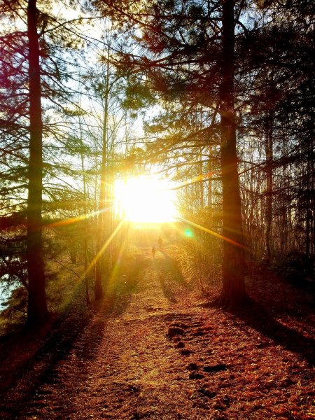 Лучи солнца