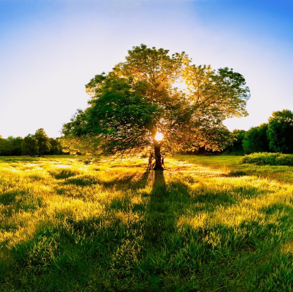 Пейзаж Солнечный день