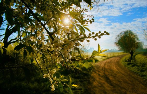 3 Мая день солнца