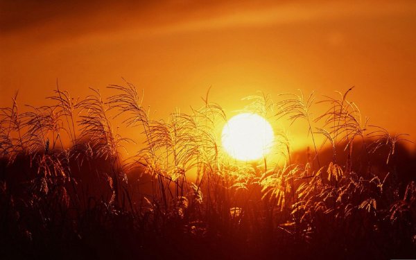 Источник энергии солнца