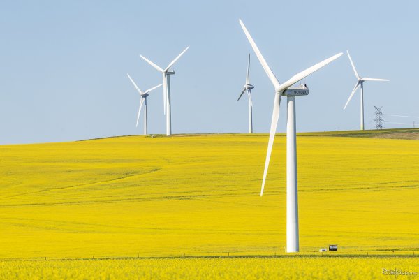 Возобновляемые источники энергии (ВИЭ)