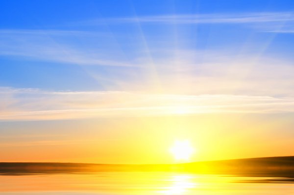 Жёлтые страницы восхода