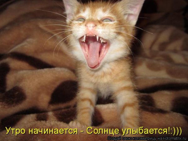 Солнце просыпается утро начинается