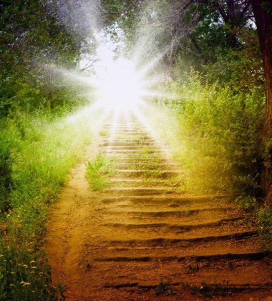 Светлая дорога