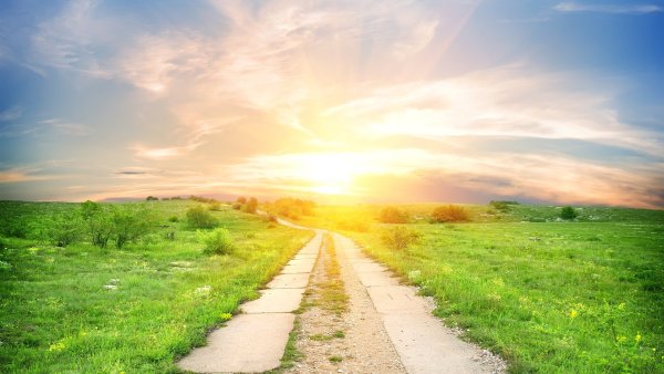 Светлая дорога