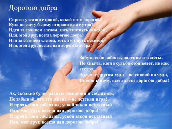 Рассвет в лесу человек