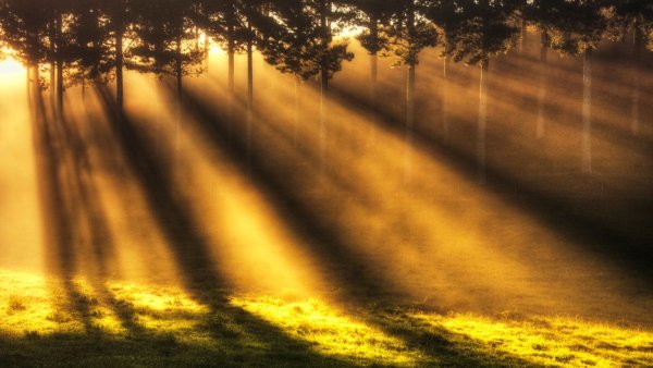 Спроси у жизни строгой