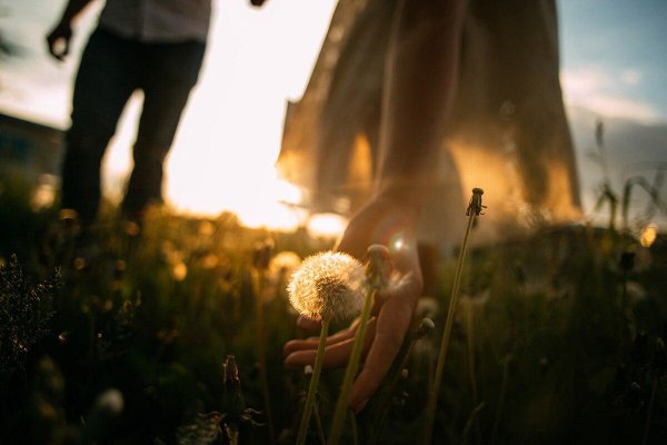 Хармон босиком по траве