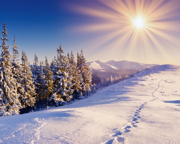Снег и солнце