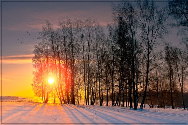 Солнечный зимний день