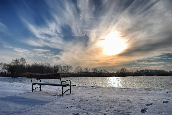 Зимний лес солнце