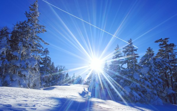 Ясная Заря зимой