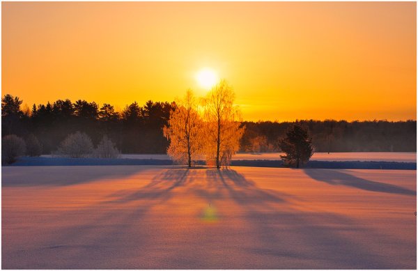 Морозное утро в деревне
