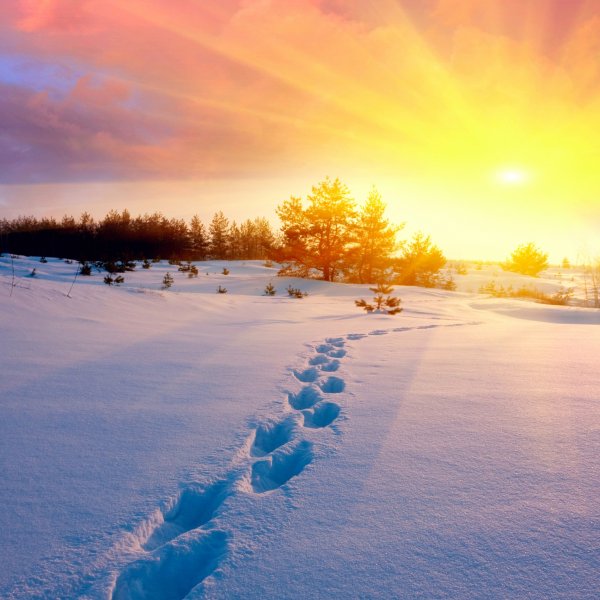 Зимнее солнце в деревне