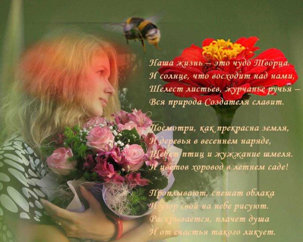 Прекрасные стихи