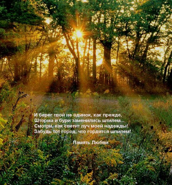 Солнечные лучи цитаты