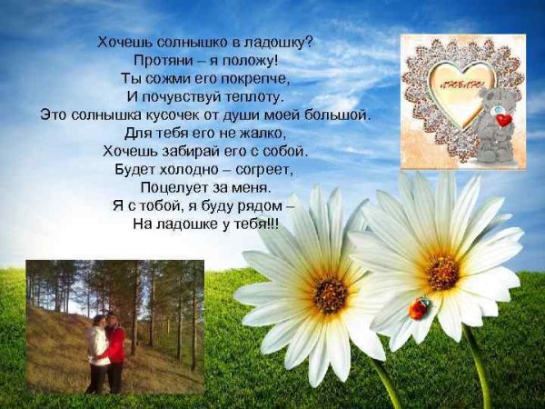 Хочешь солнышко в ладошку стихи
