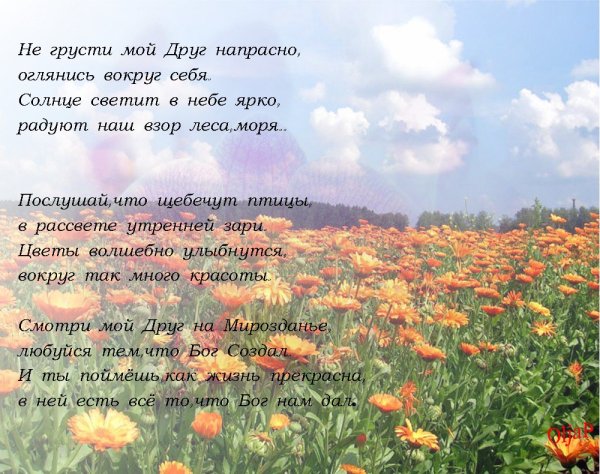 Цитаты на тему жизнь прекрасна