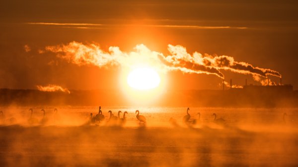 Солнце в дыму