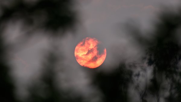 Солнце в дыму