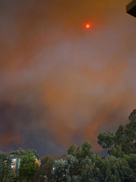 Солнце в дыму пожара