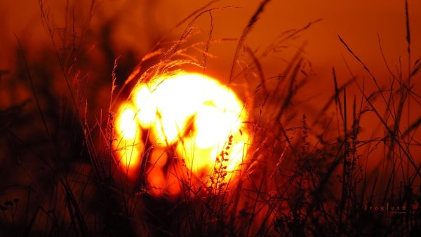 Огненный рассвет