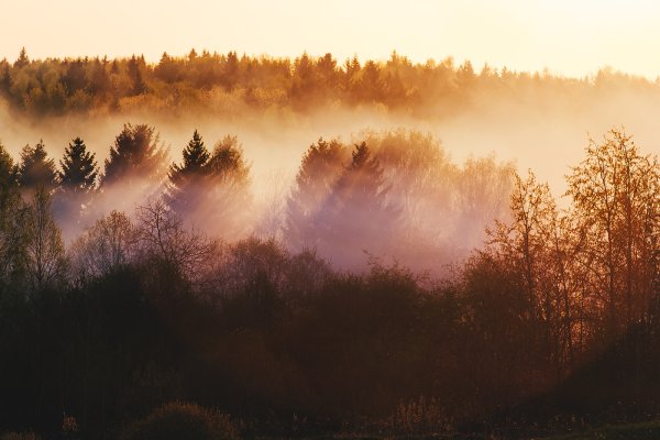 Дым от травки