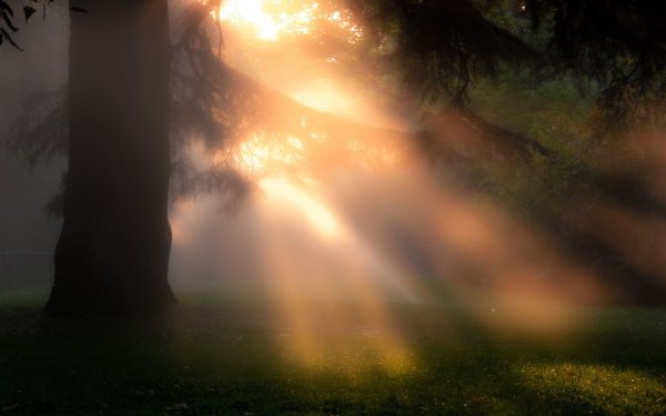 Солнце сквозь дымку