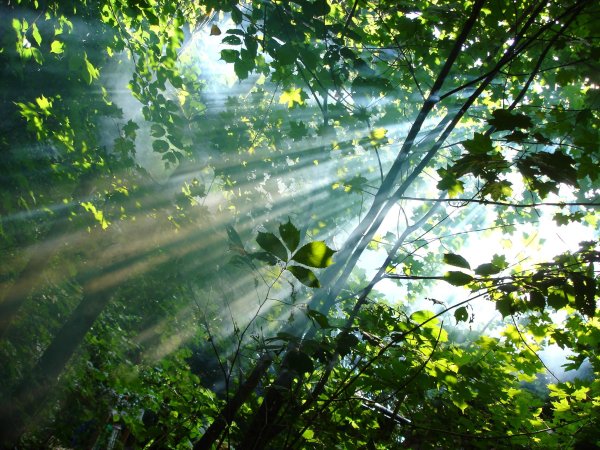 Эстетика природа закат