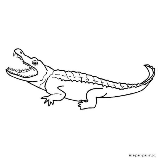 Крокодил трафарет для детей