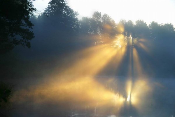 Туман над озером