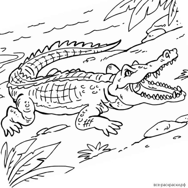 Иллюстрация к сказке Корнея Чуковского краденое солнце