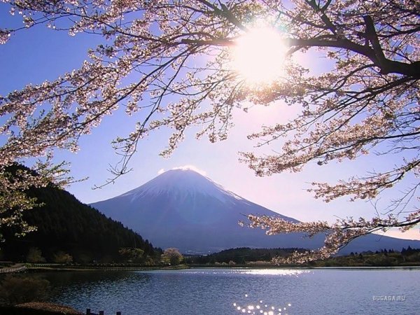 Япония гора Фудзияма солнце