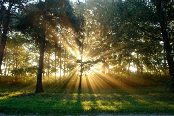 Яркое солнце