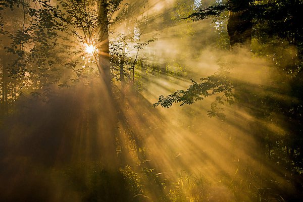 Красивые лучи солнечные