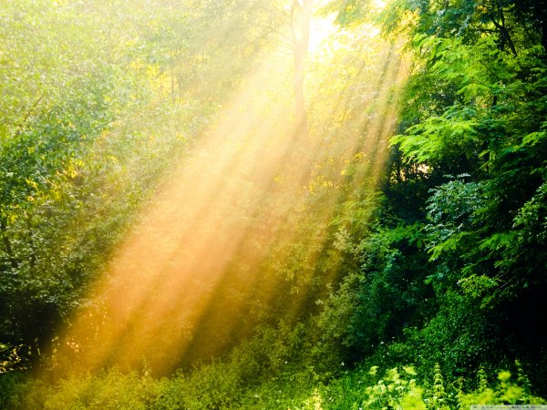 Свет солнца