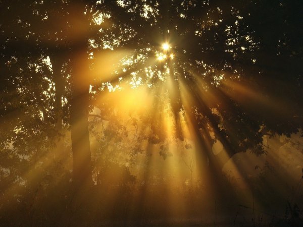 Блик солнца