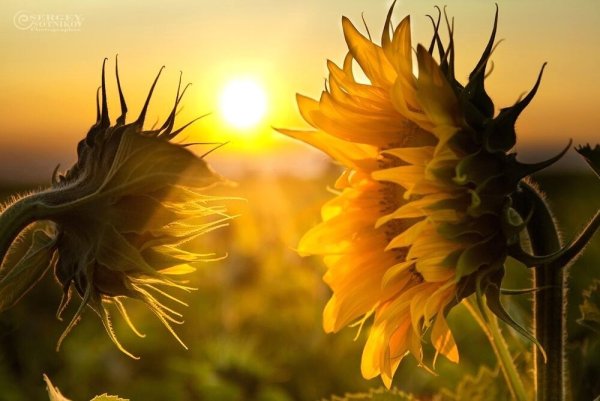 Человек в лучах солнца