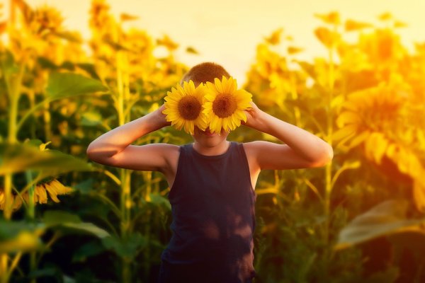 Dose ЛСП солнце золотое