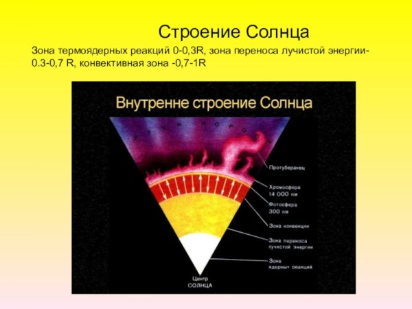 Строение солнца конвективная зона