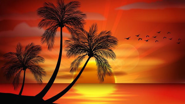 Пальмы на закате