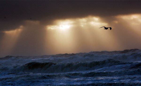 Пасмурный океан