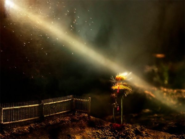 Луч света во тьме