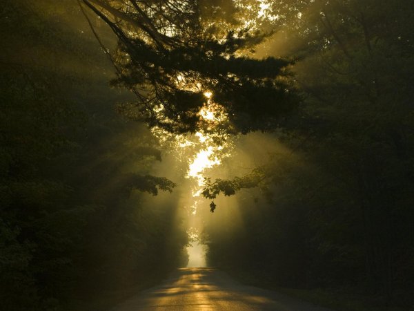 Солнце во тьме